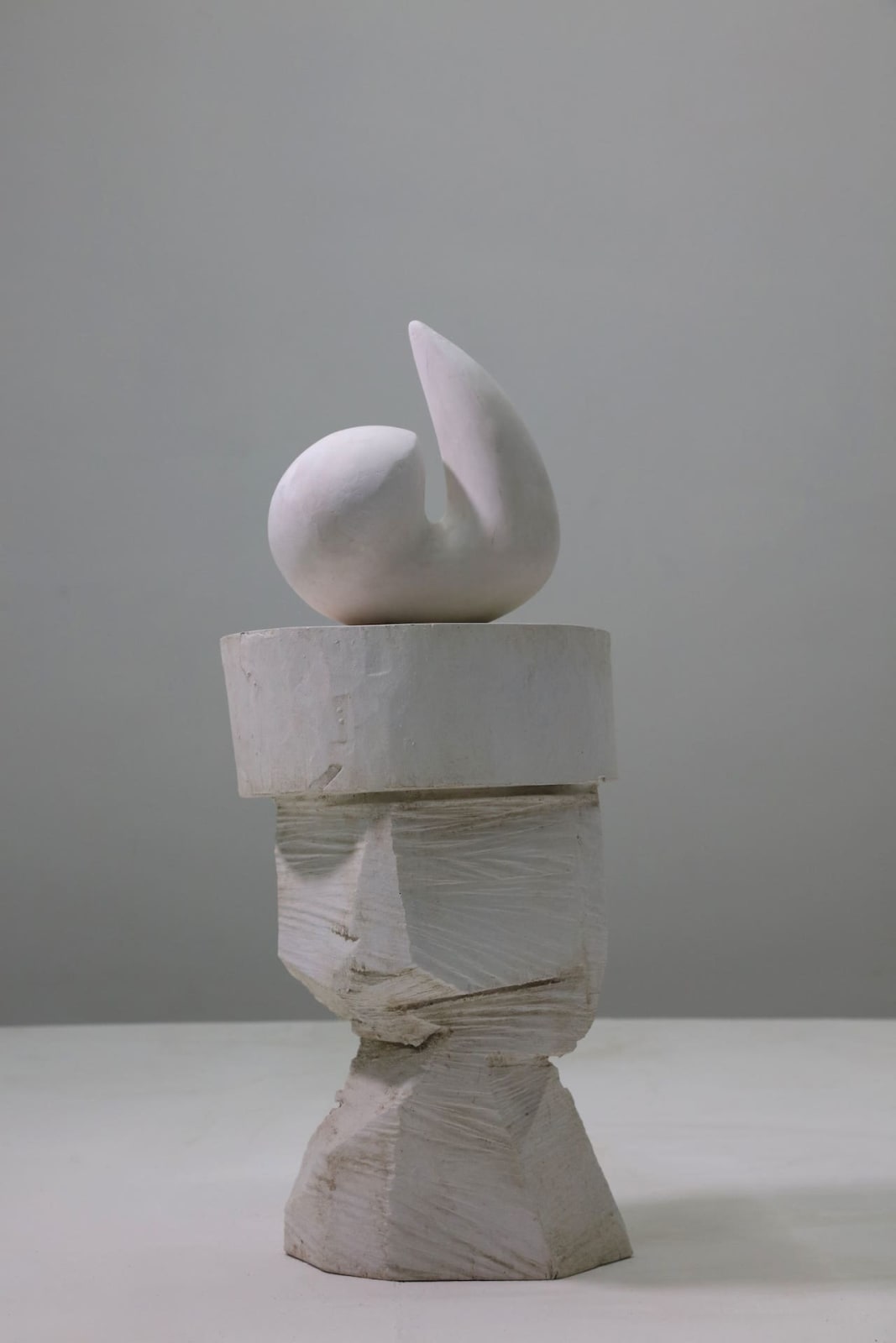 Zhang Ning 張寧, Mayfly 1蜉蝣 1, 2025