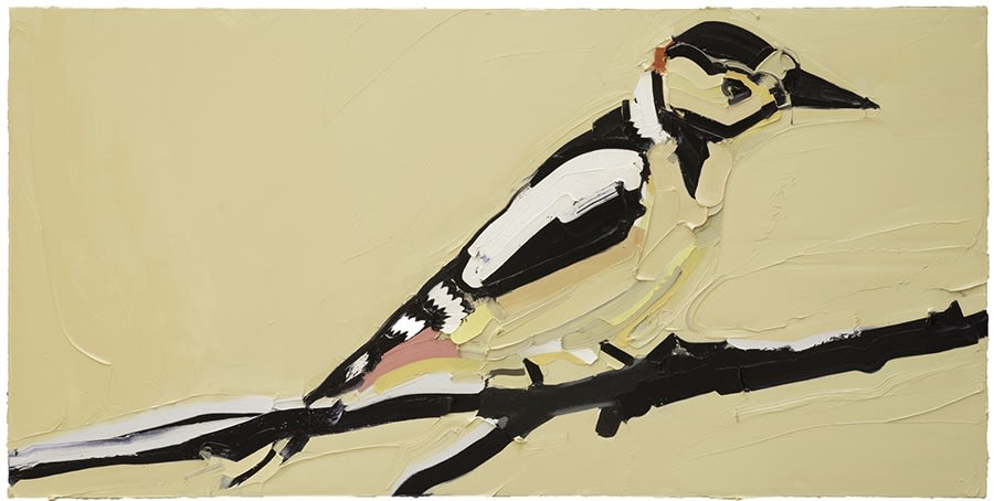 Martin Wehmer 马丁・韦默尔, Niao, 2015