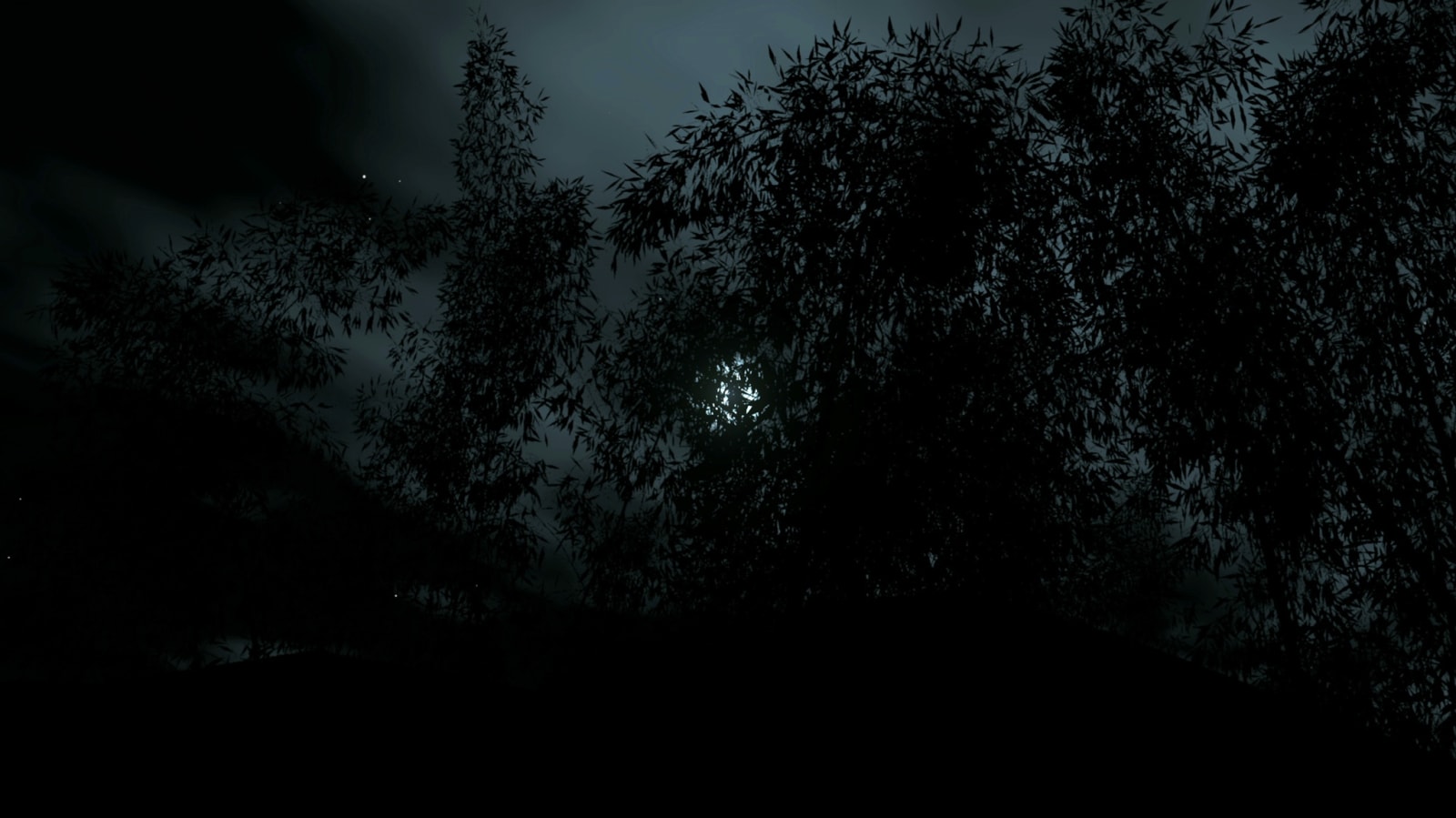 Martin Dörbaum 馬丁・迪爾鮑姆, Found Footage, 2012