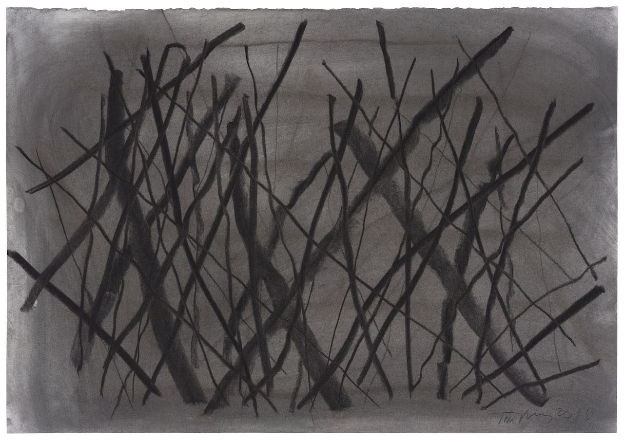 Tan Ping 譚平, Sketch 素描, 2016