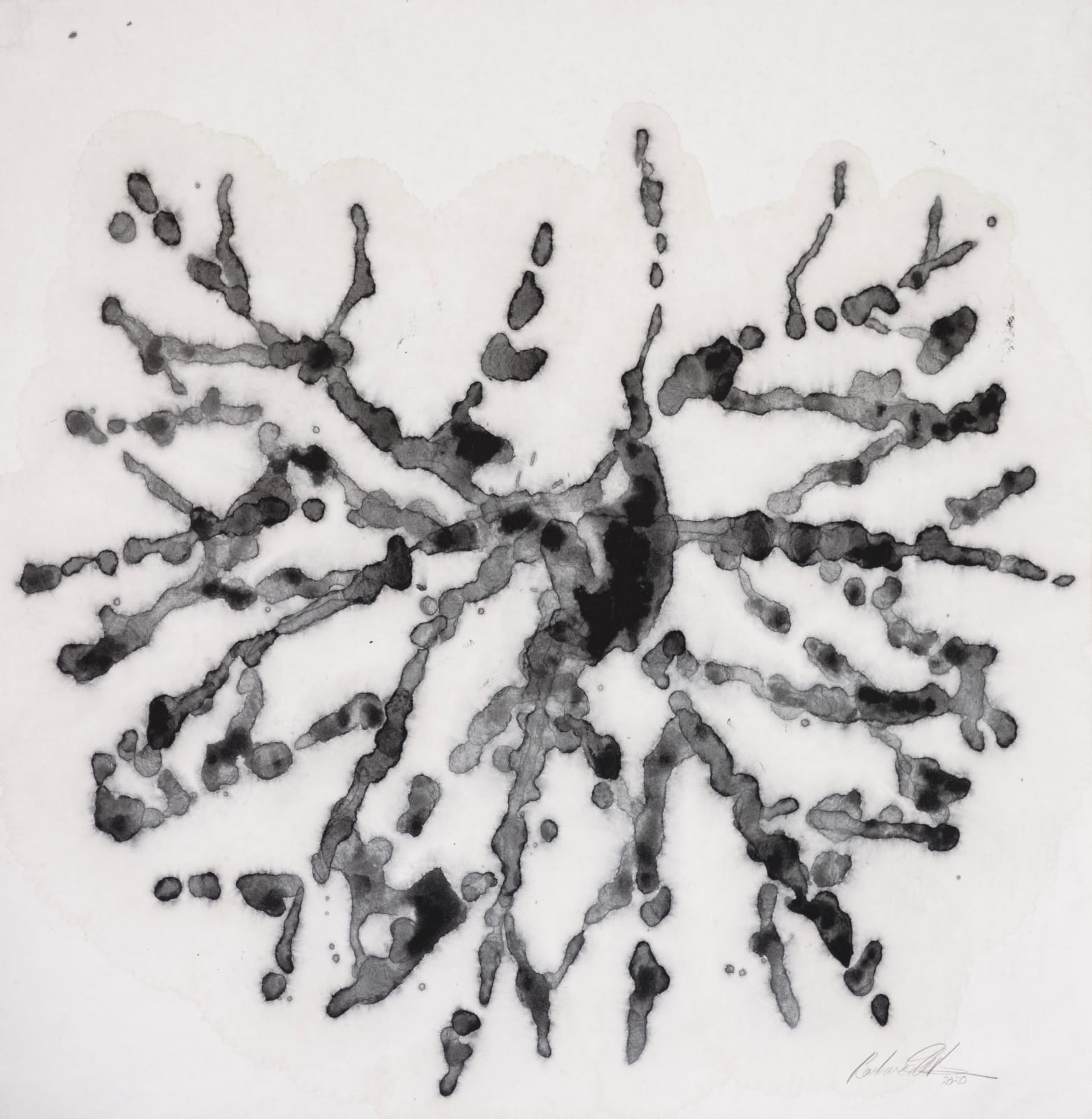 Barbara Edelstein 芭芭拉・愛德斯坦, Leaf in the Air (series) 空气中的叶 (系列), 2020