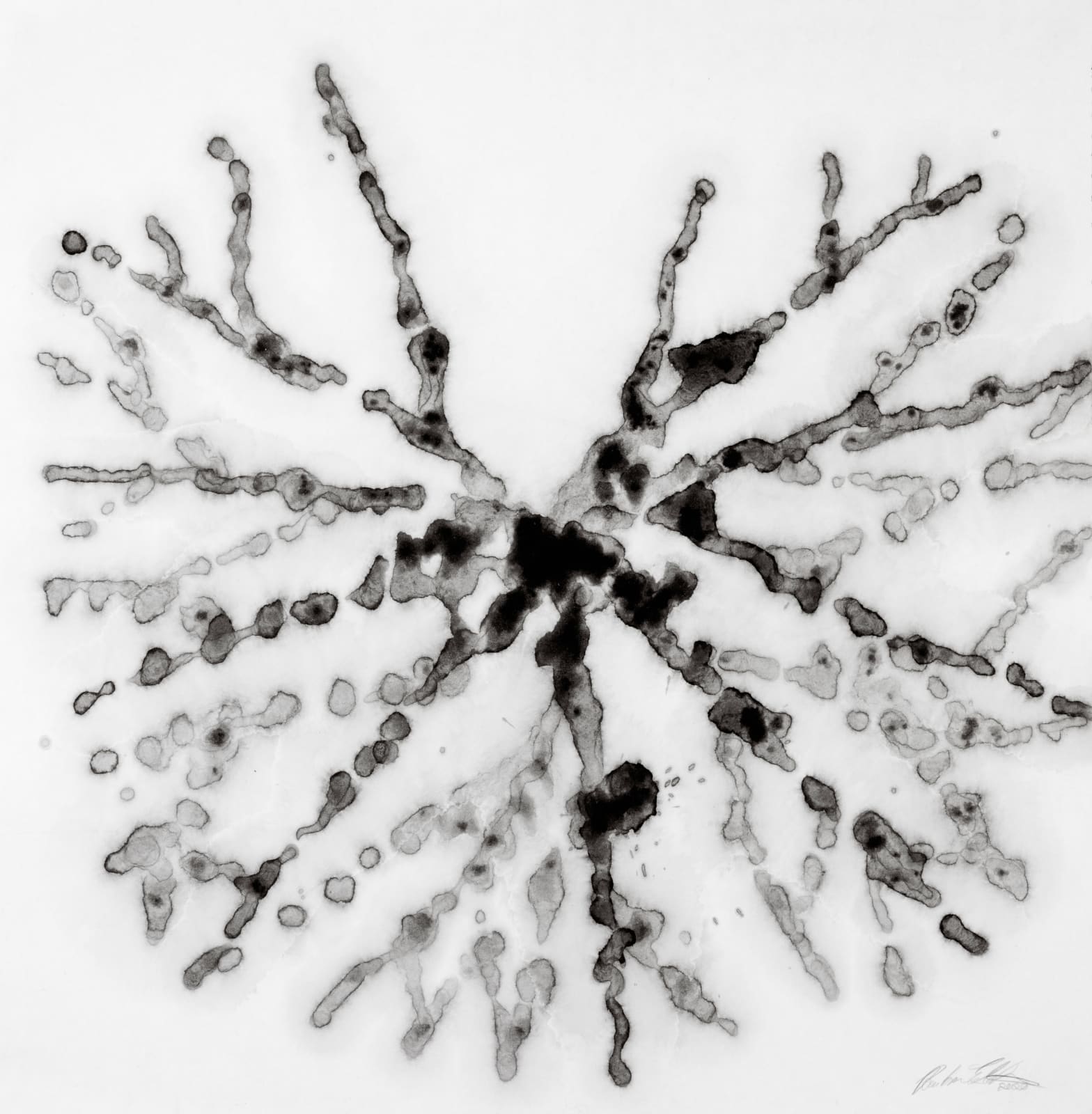 Barbara Edelstein 芭芭拉・愛德斯坦, Leaf in the Air (series) 空气中的叶 (系列), 2020