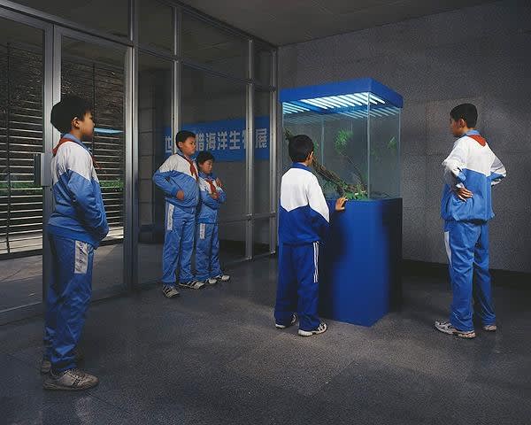 Li Yu + Liu Bo 李鬱 + 劉波, Wuzi & Jichou Year’s Lightning, 2008-2010