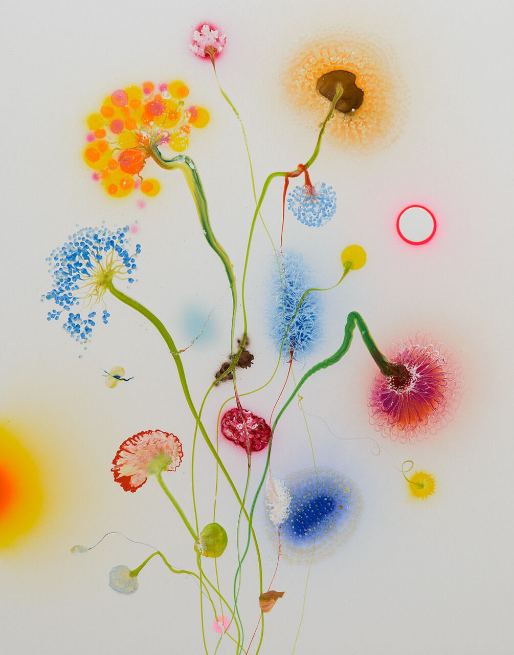 Thierry Feuz, Psychotropical Salomé
