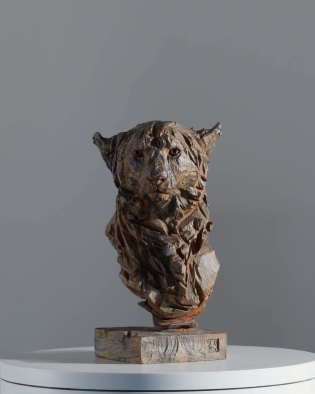 Jürgen Lingl, Buste de Guépard