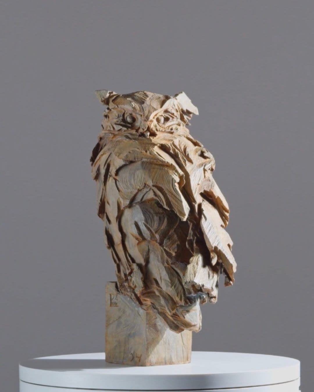 Jürgen Lingl, Hibou, 2024