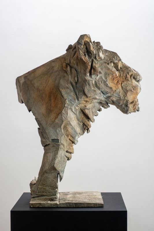 Jürgen Lingl, La Reine (lionne)