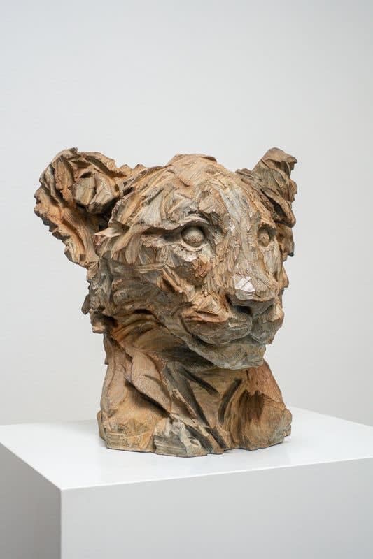 Jürgen Lingl, Little Brother (baby lion)