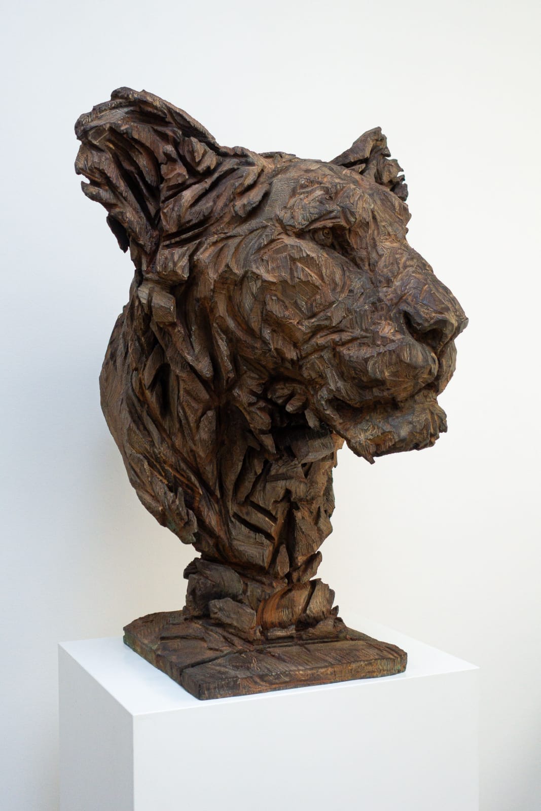 Jürgen Lingl, Purity of soul