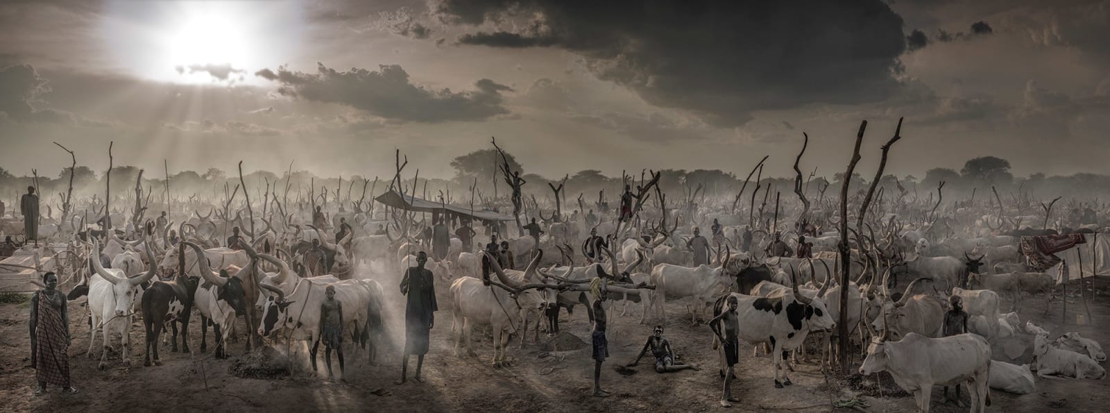 David Yarrow, The New Testament Monochrome