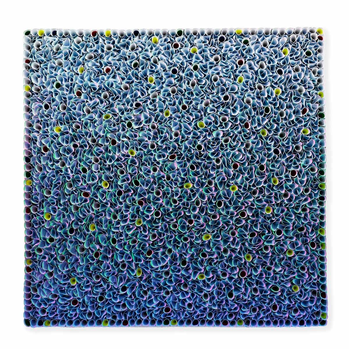 Zhuang Hong-Yi, Flowerbed ZHY-S62455