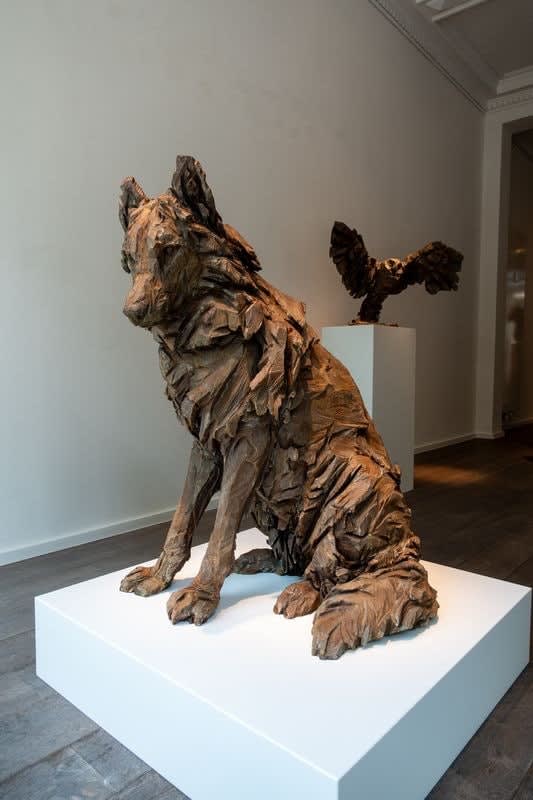 Jürgen Lingl, Joe, sitting wolf