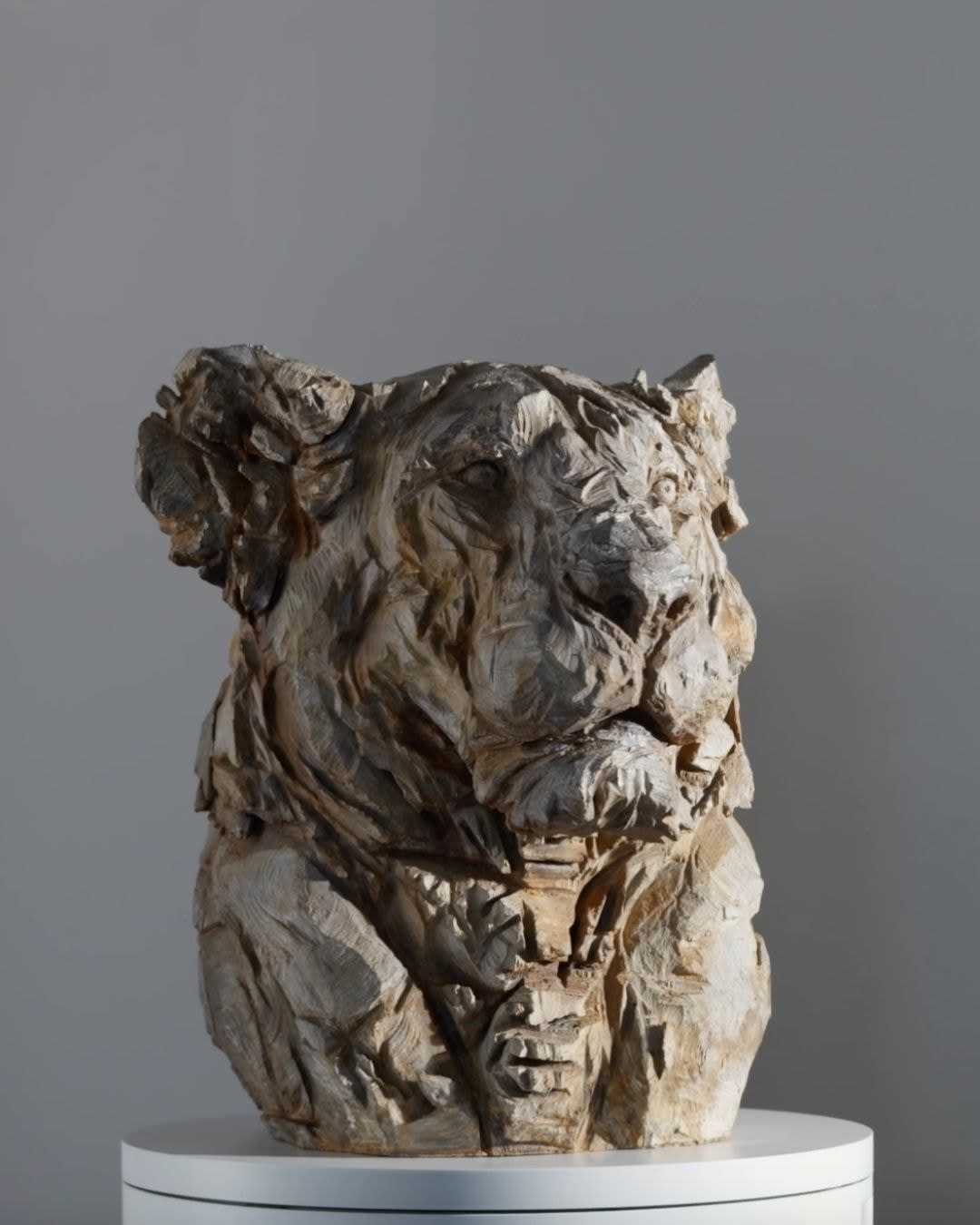 Jürgen Lingl, Buste De Lionne