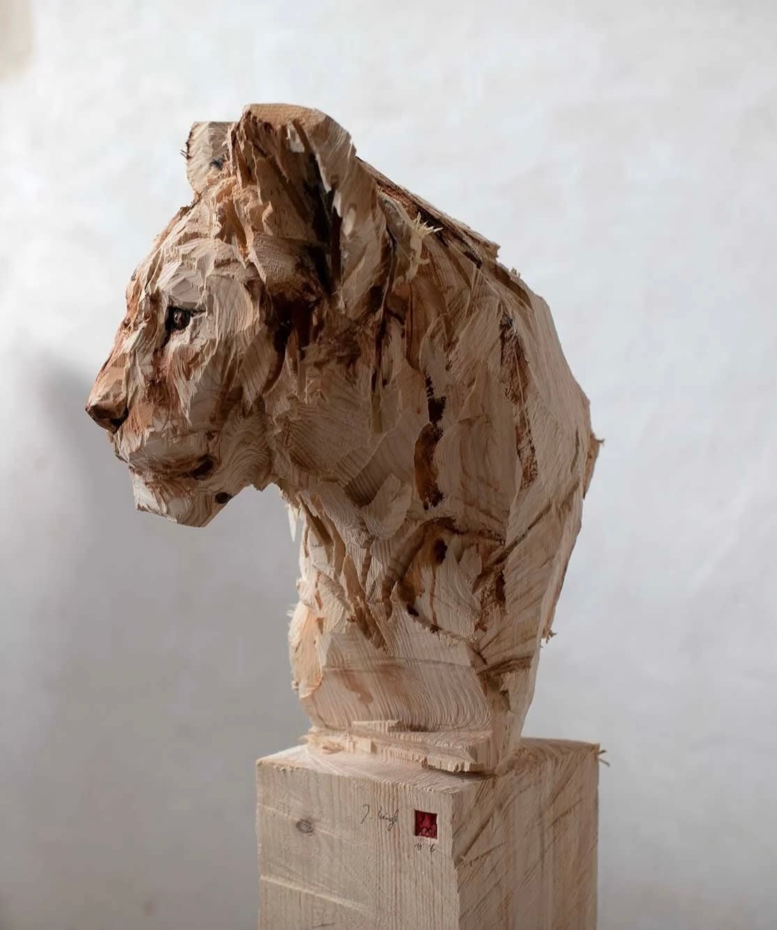 Jürgen Lingl, Lion Youngster