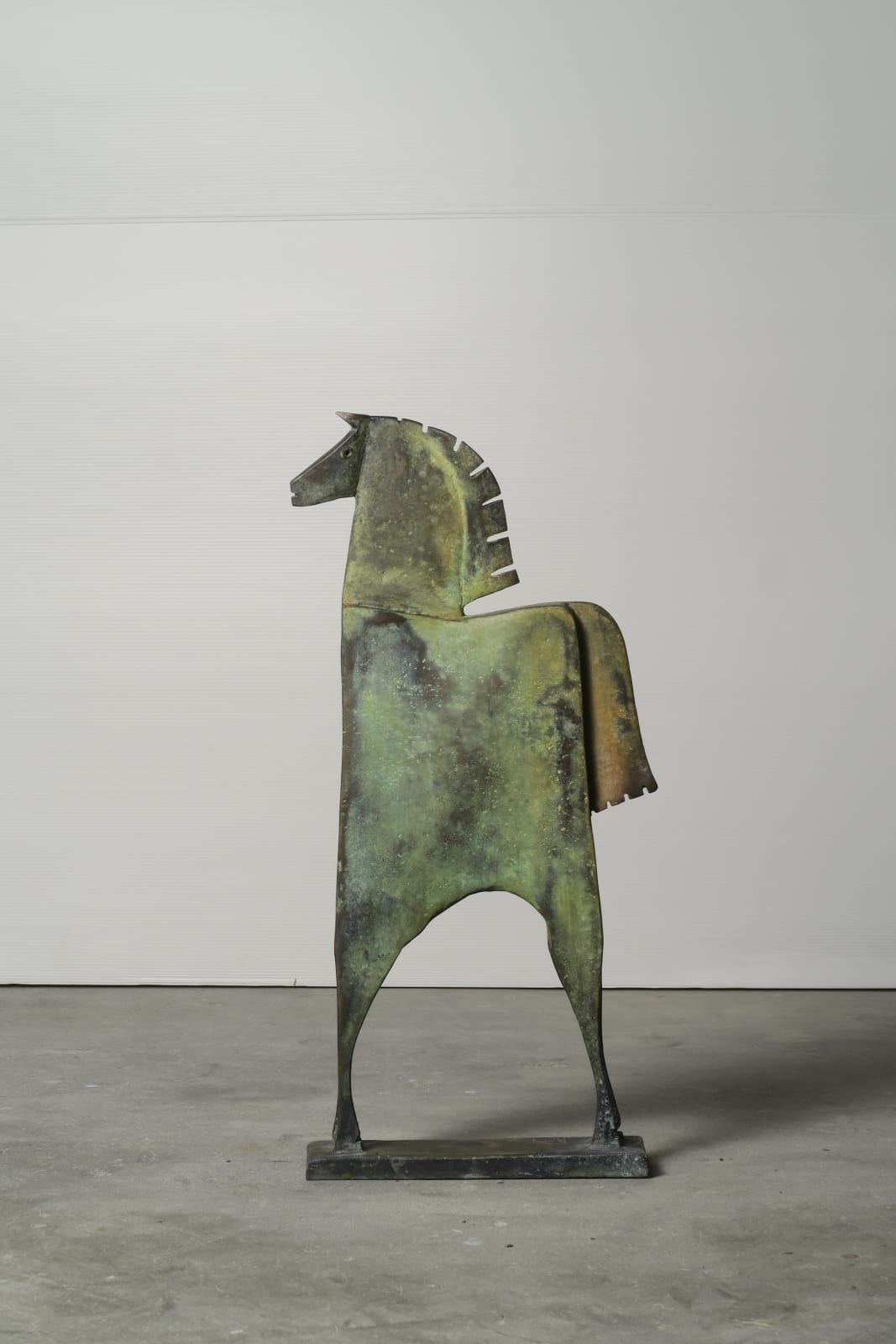 Carlos Mata, Caballo Camenas