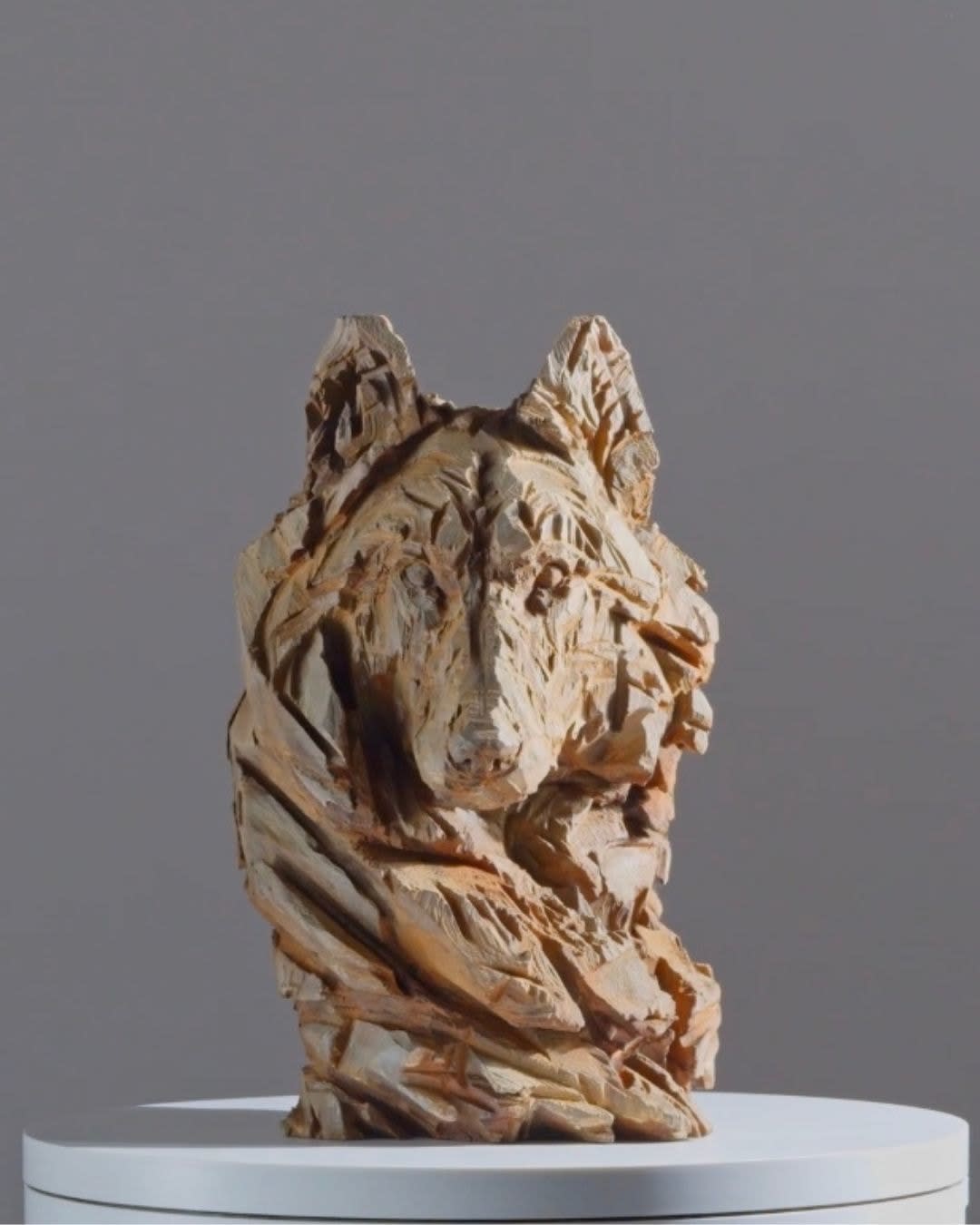 Jürgen Lingl, Stormy Wolf, buste de loup