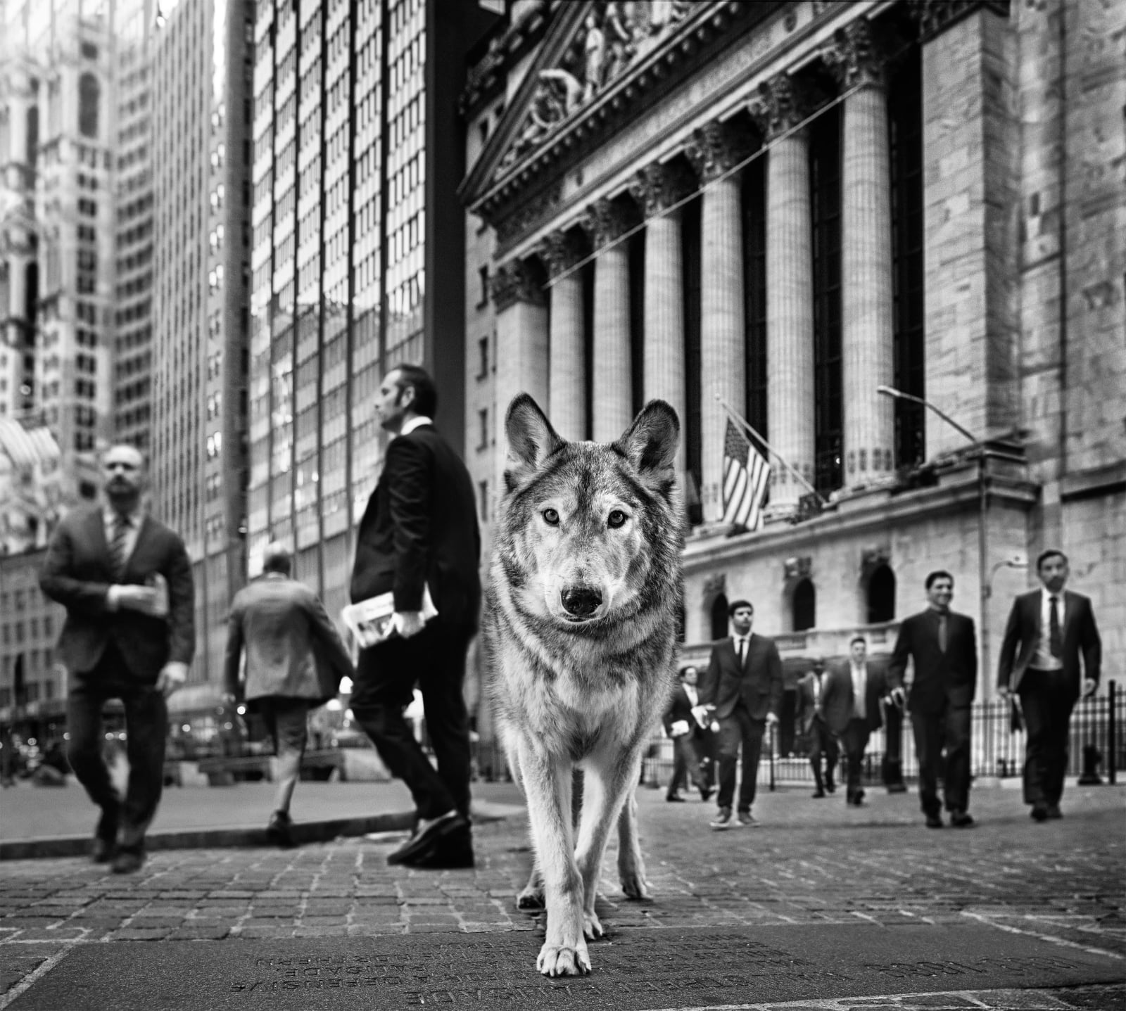 David Yarrow, Wall Street