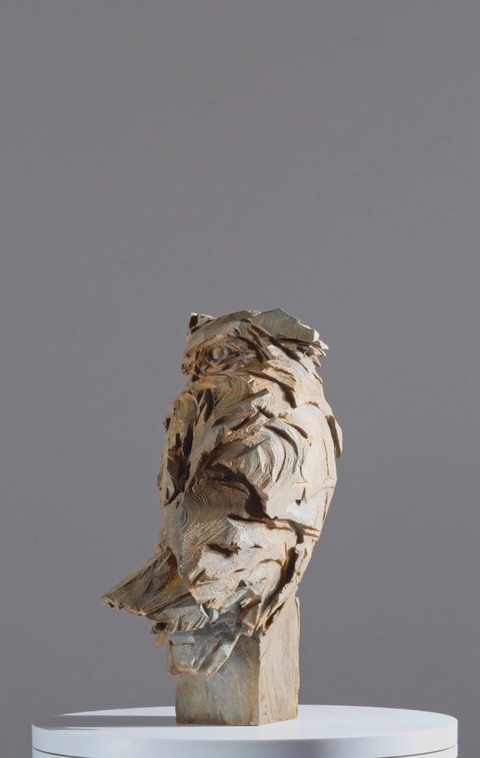 Jürgen Lingl, Hibou, 2024