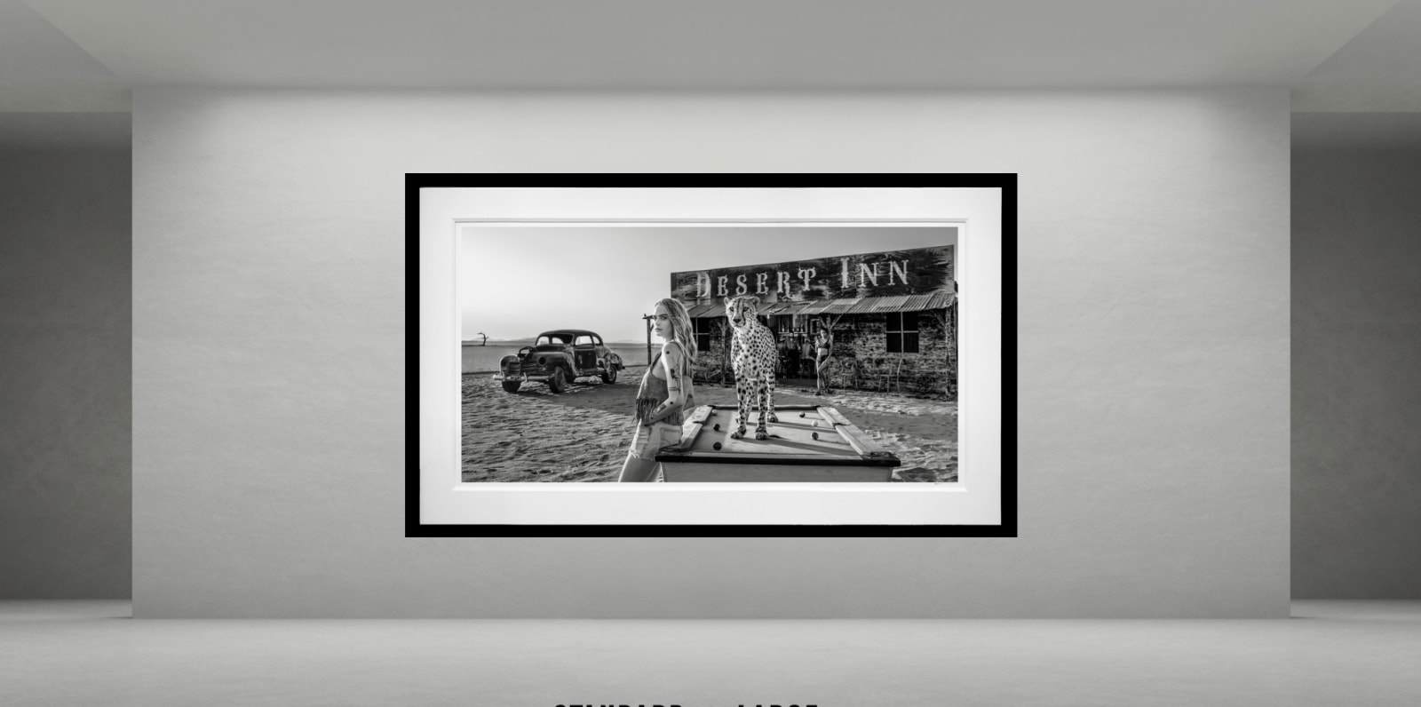 David Yarrow, Rack Em Up