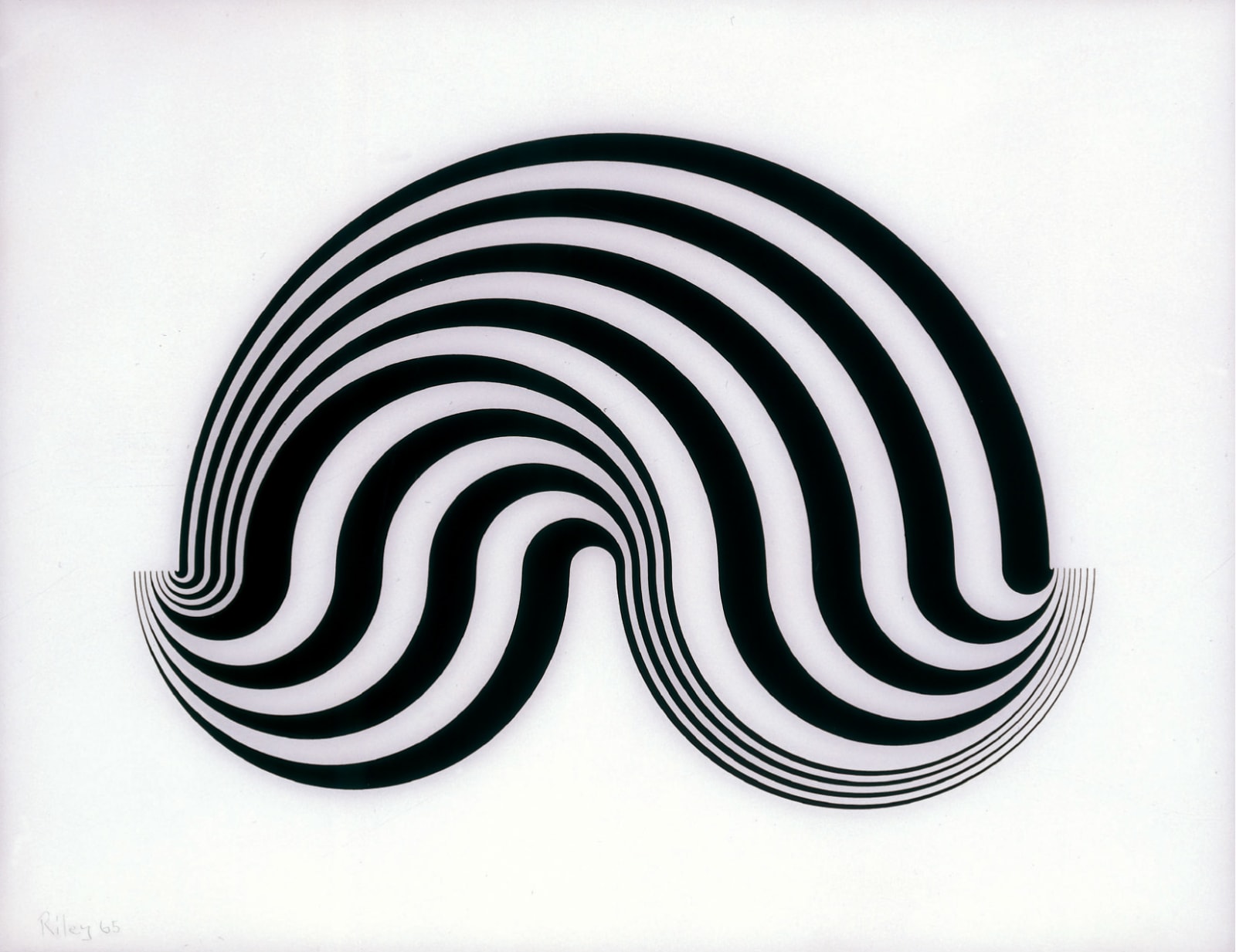 Bridget Riley, Untitled (Fragment 5) , 1965