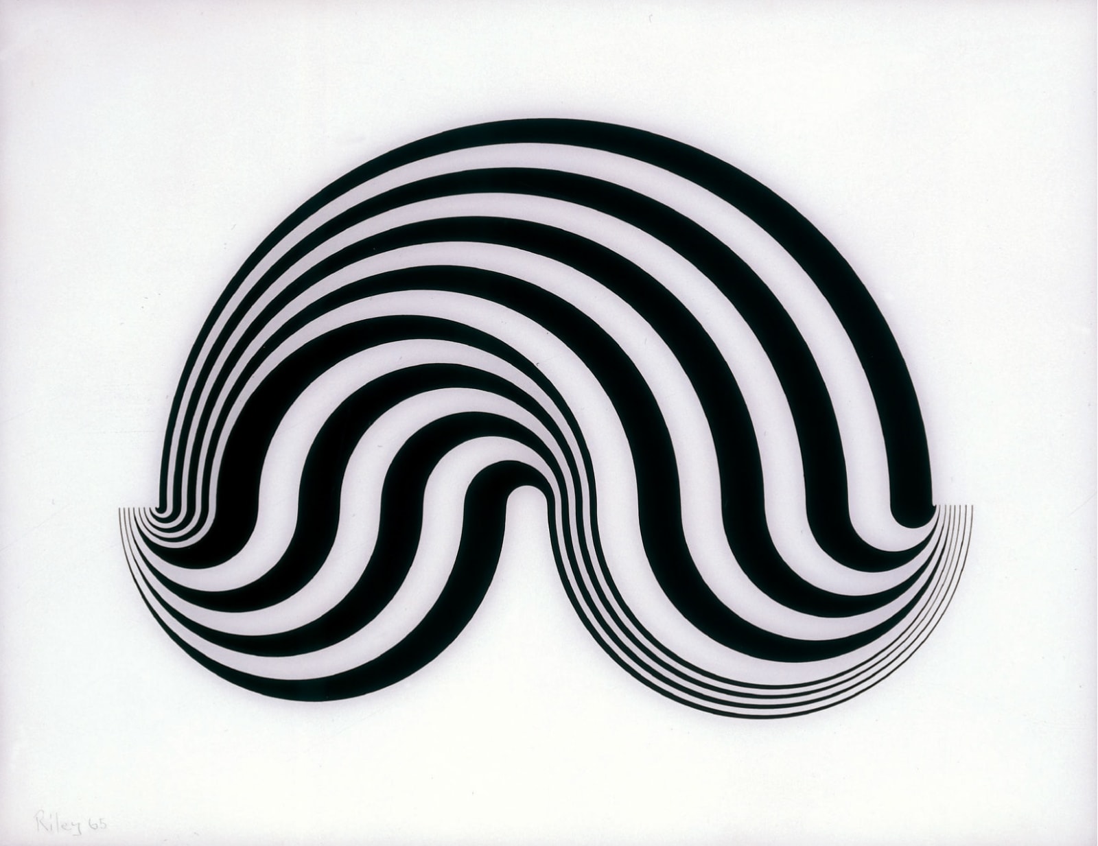 Bridget Riley, Untitled (Fragment 5) , 1965