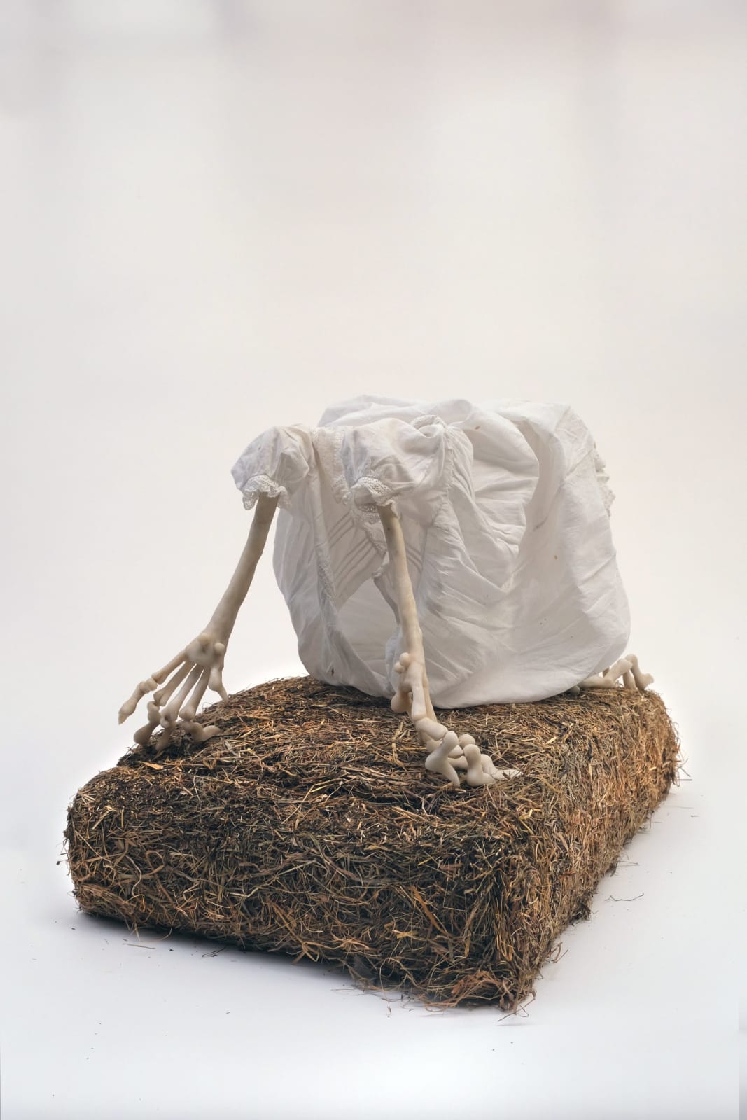 Abigail Norris, Perichoresis, 2025