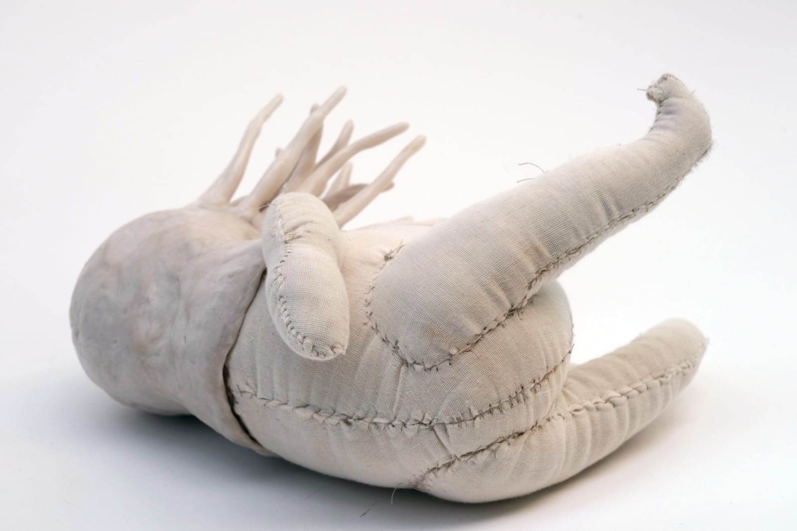 Abigail Norris, Psychopompette, 2025