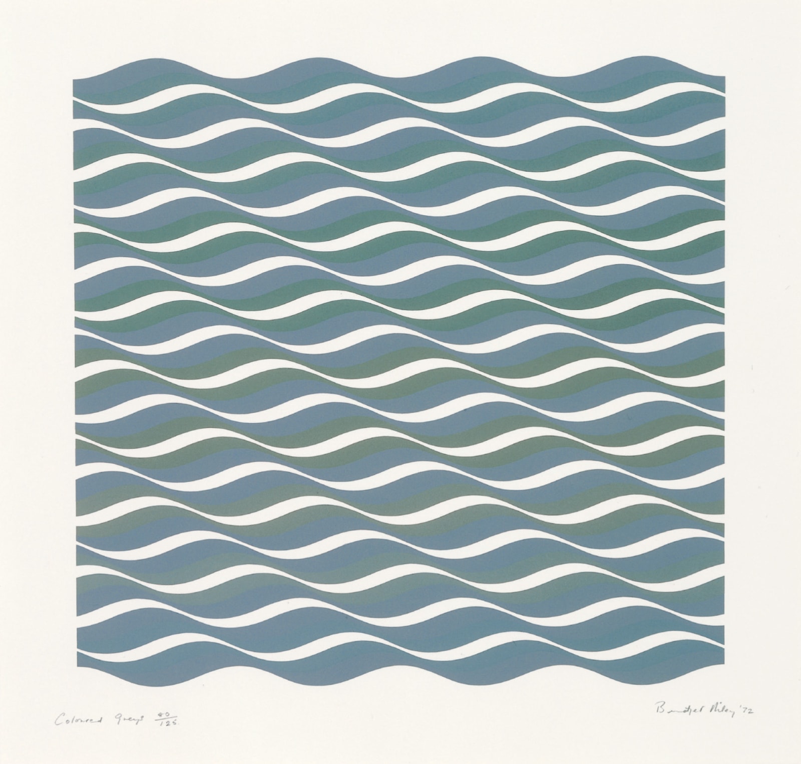 Bridget Riley, Coloured Greys 3 , 1972
