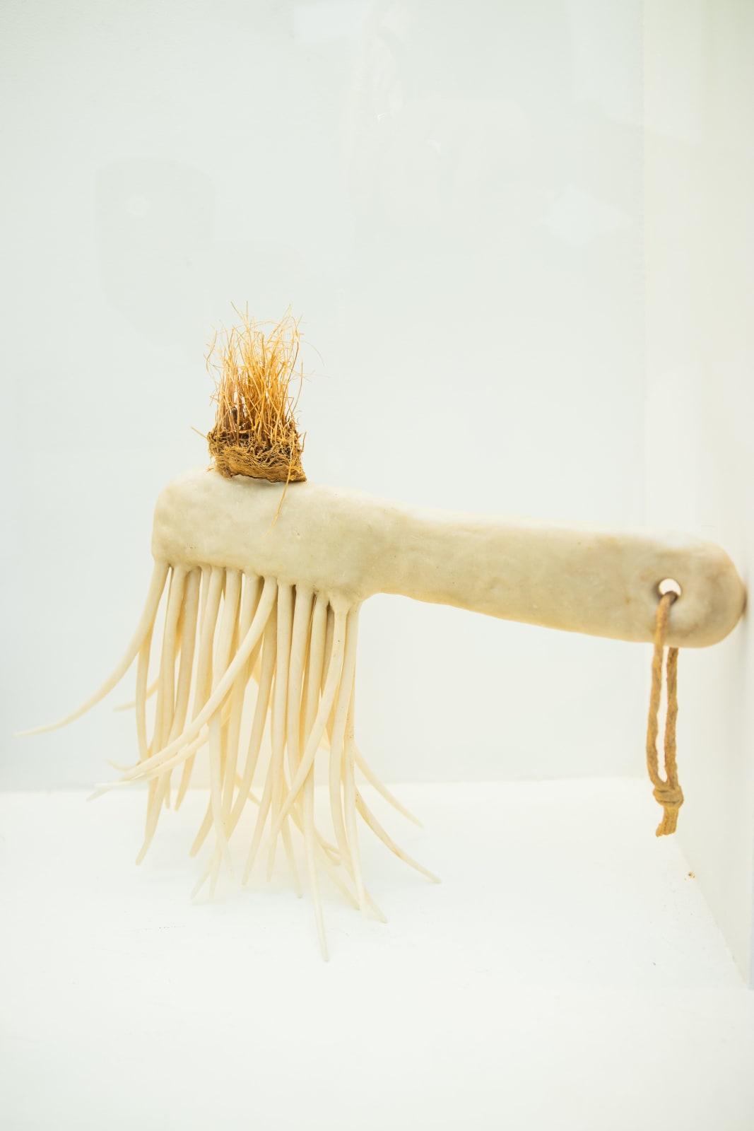 Abigail Norris, Epibiont, 2025