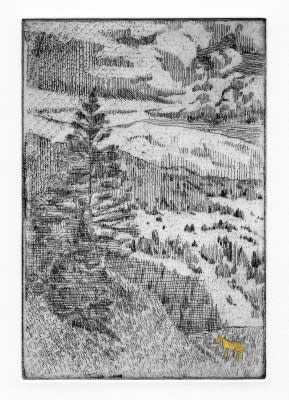 Alexander Massouras, The Gilderbook, a series of 15 etchings, 2011