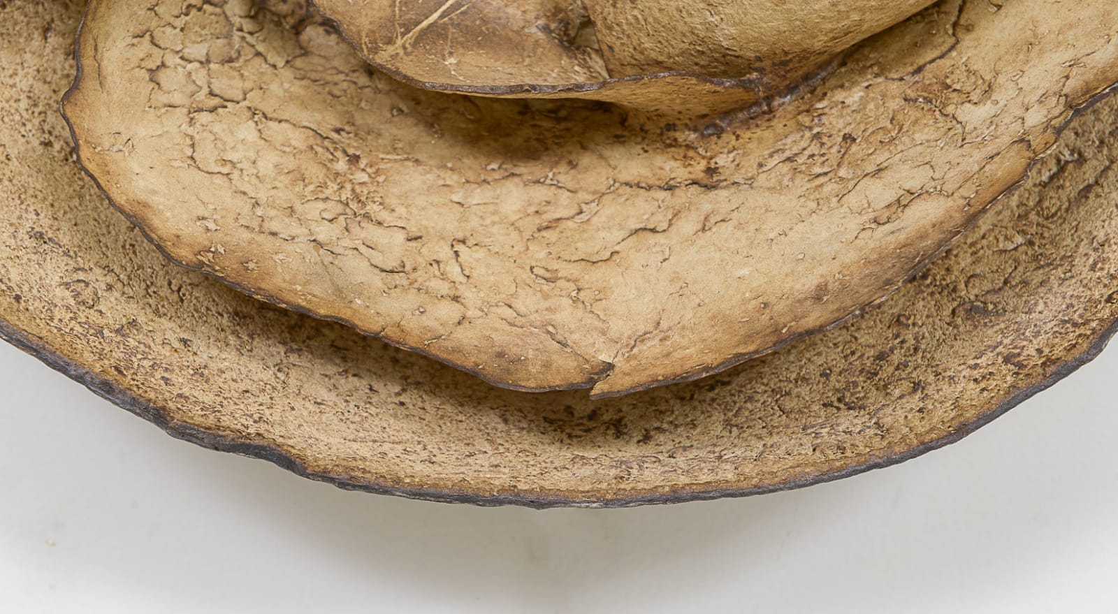 Sandy Pouget, French Bespoke Pair of Papier-Mache Sconces, 21st century