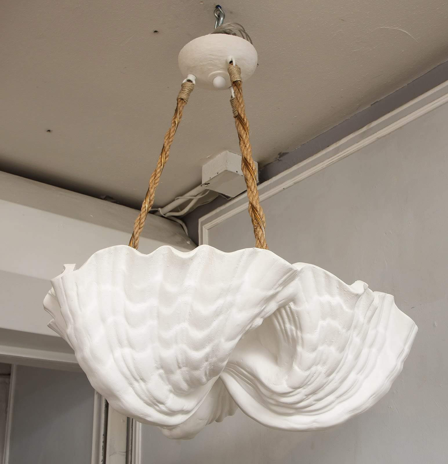 Custom Coquillage Plaster Fixture, 21st century