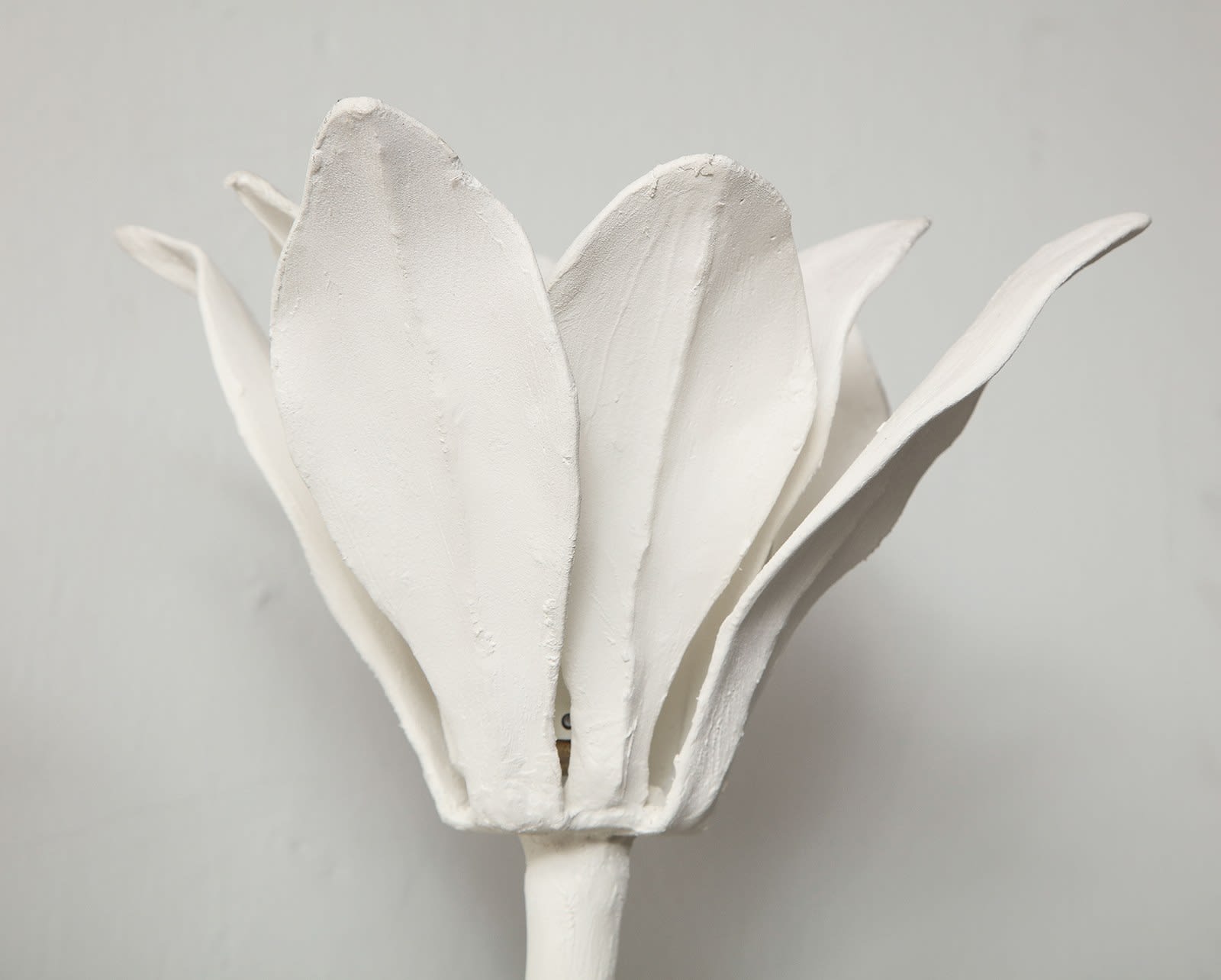 Custom Pair of Plaster Fleur Sconces