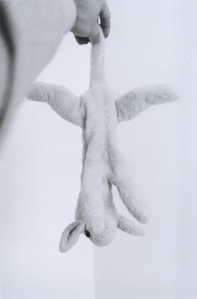 Hervé Guibert, Agneaudou pendu, 1981