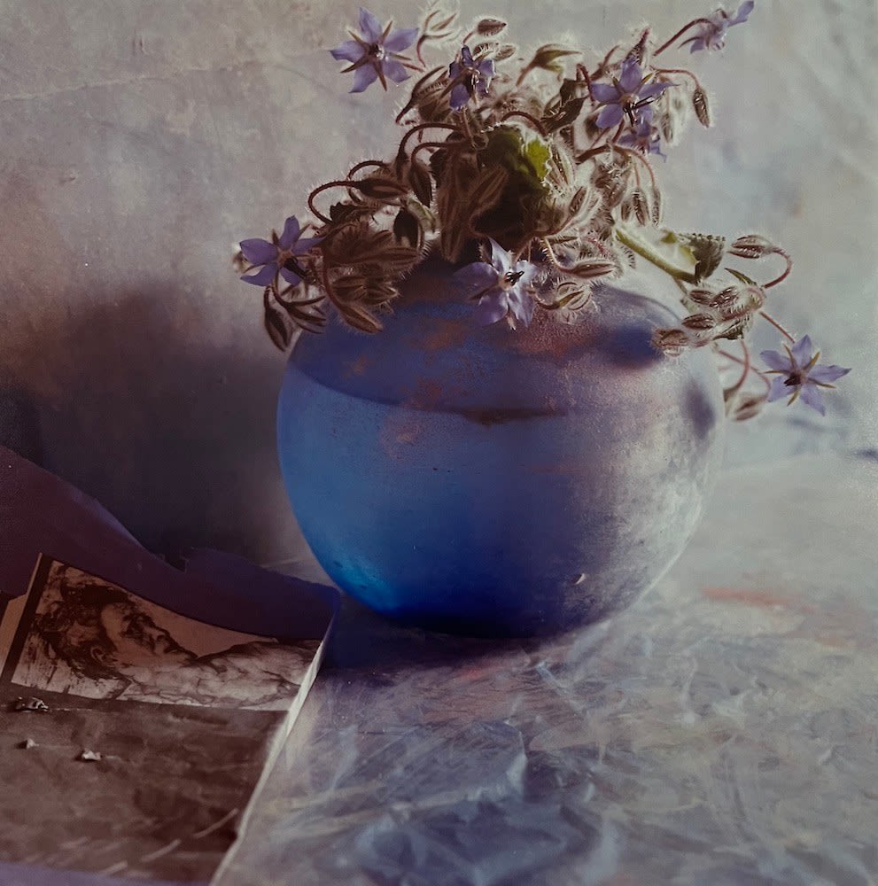 Toni Catany, Natura Morta n°127, 1987