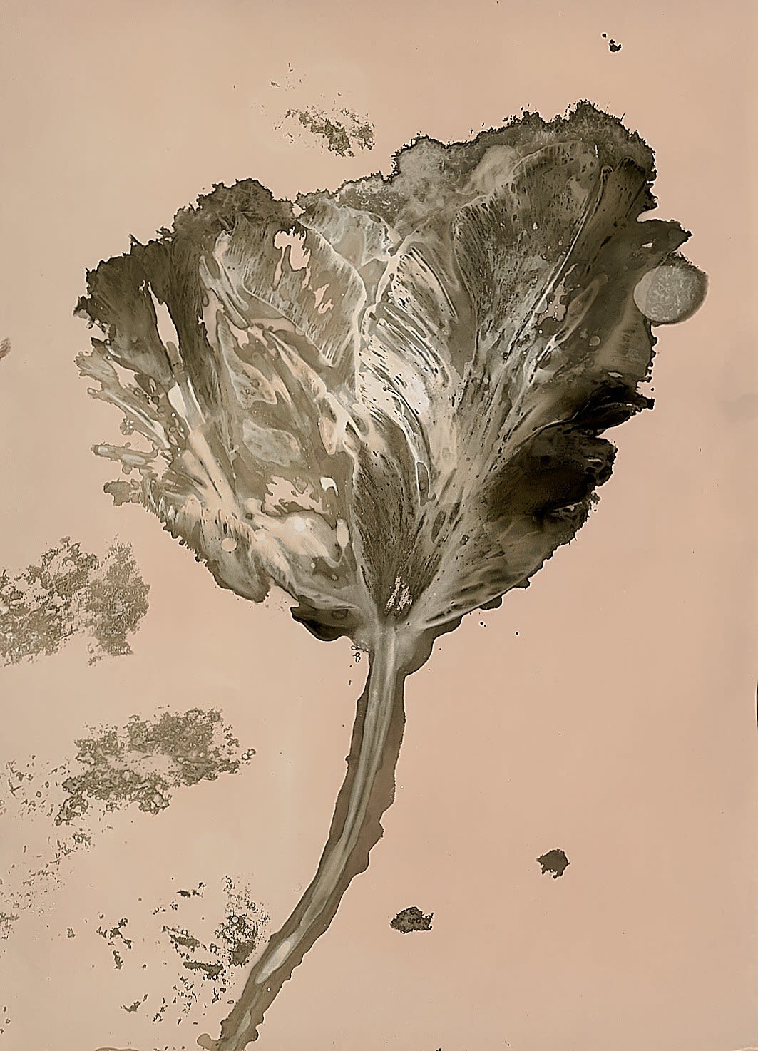 Thierry Balanger, Fleurs cassées #25, 2016