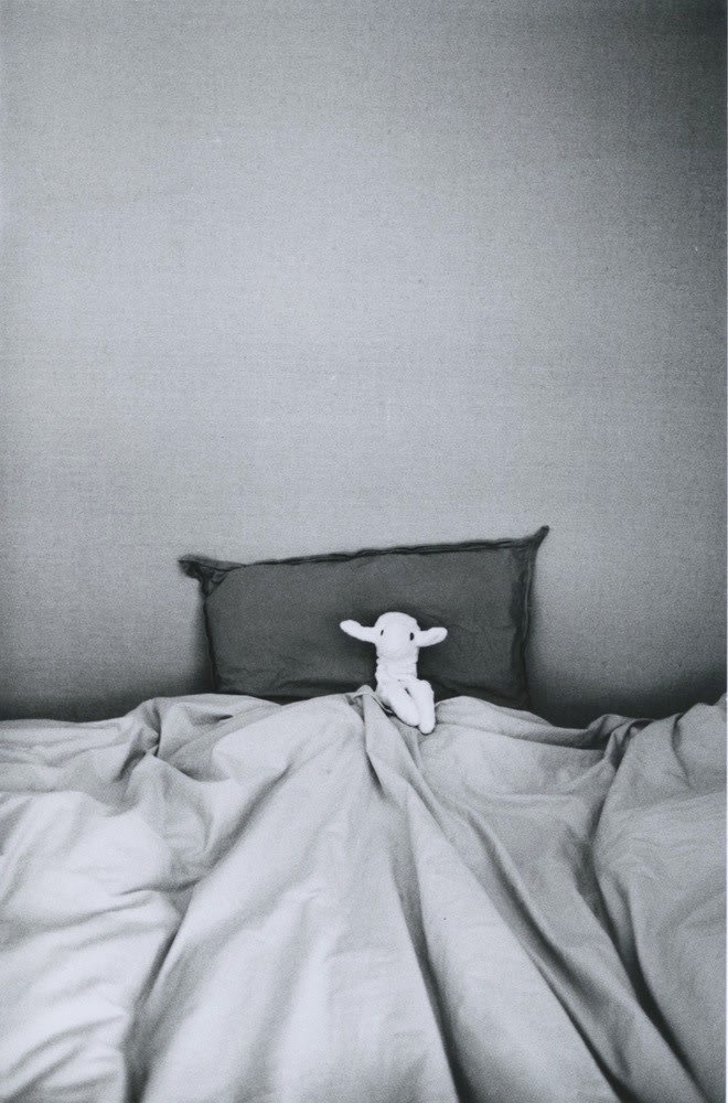 Hervé Guibert, Agneaudou dans le lit, 1981