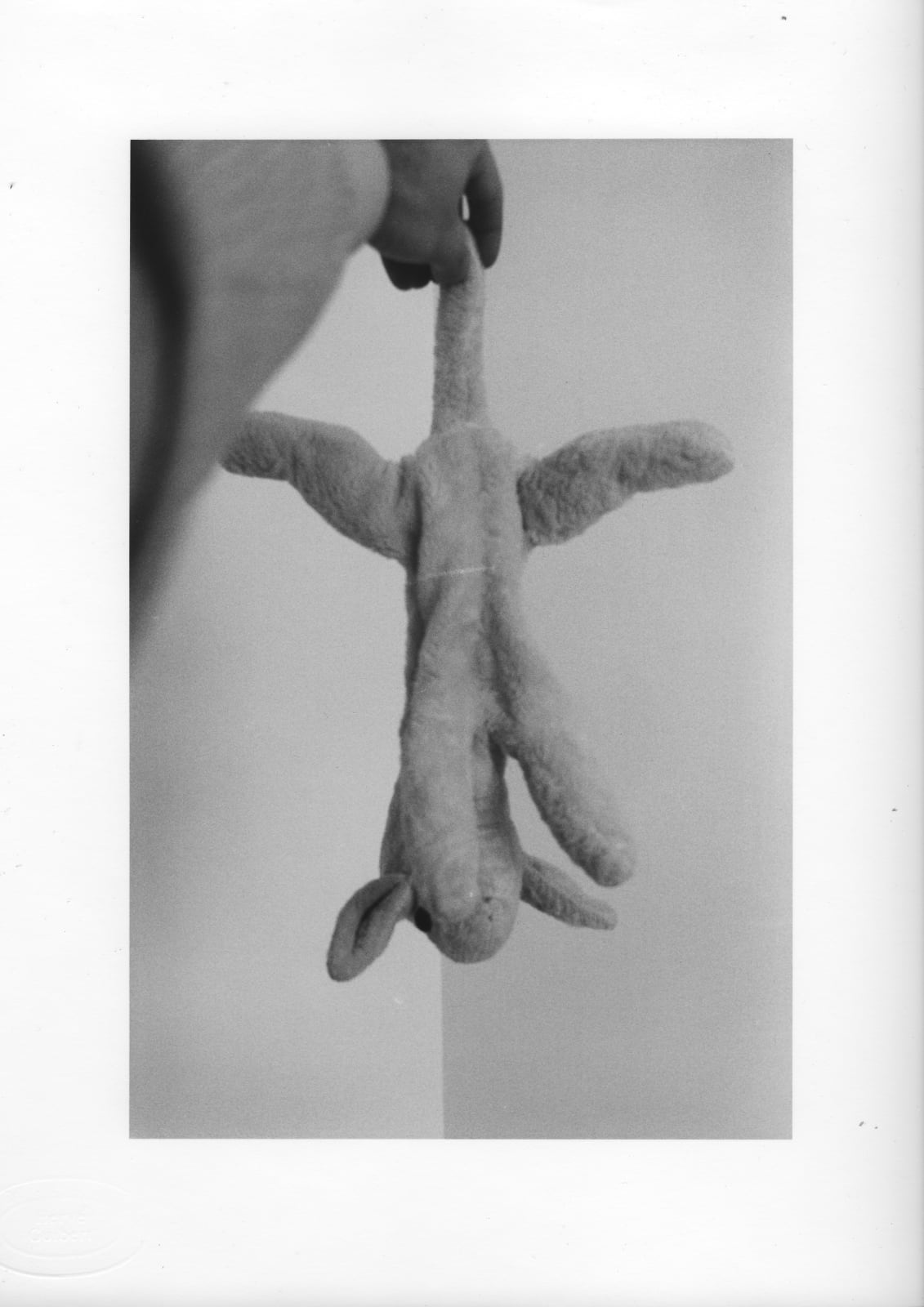 Hervé Guibert, Agneaudou pendu, 1981