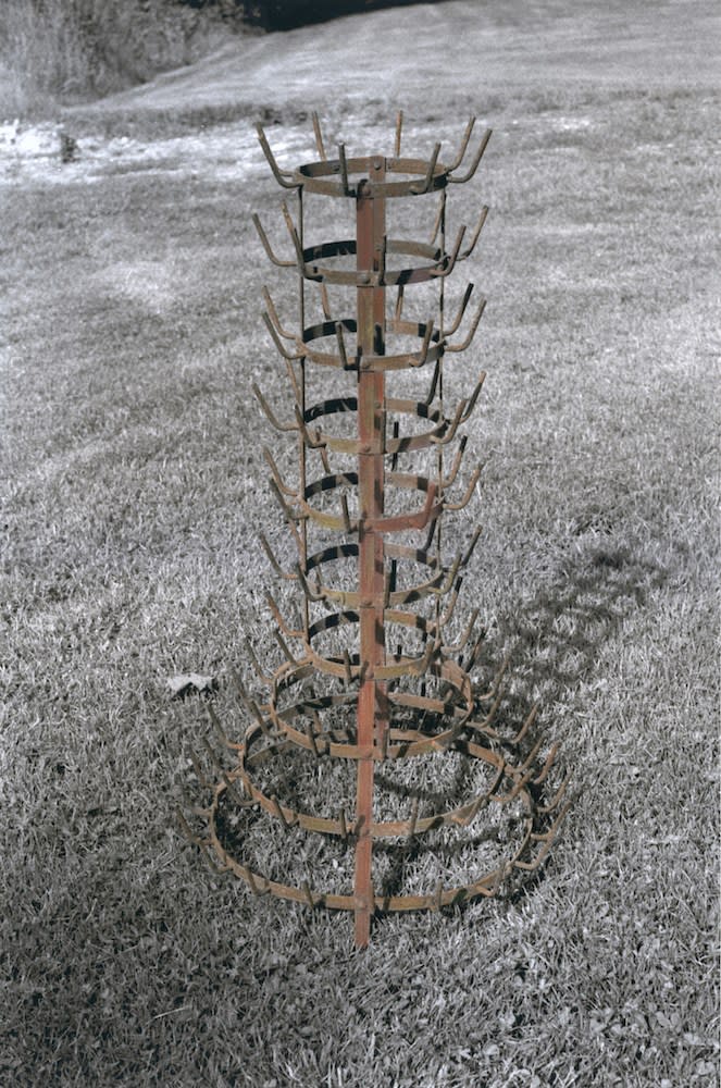 Elizabeth Lennard, Bottle Rack, n.d.