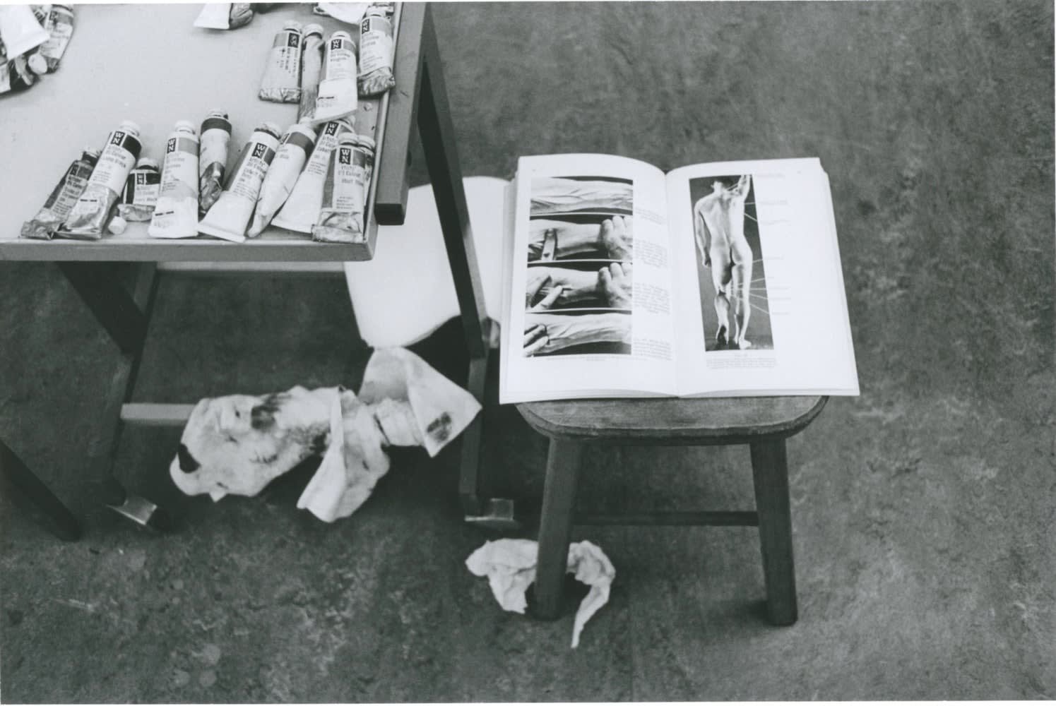 Hervé Guibert, Peintures, dos nu, Munich, 1982