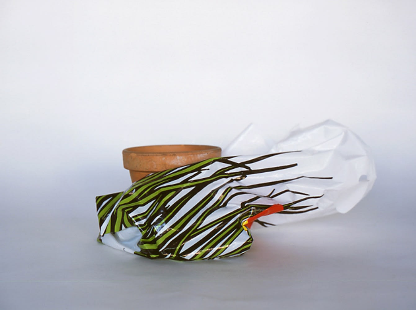 Paul Pouvreau, Faits divers, 2003-2004