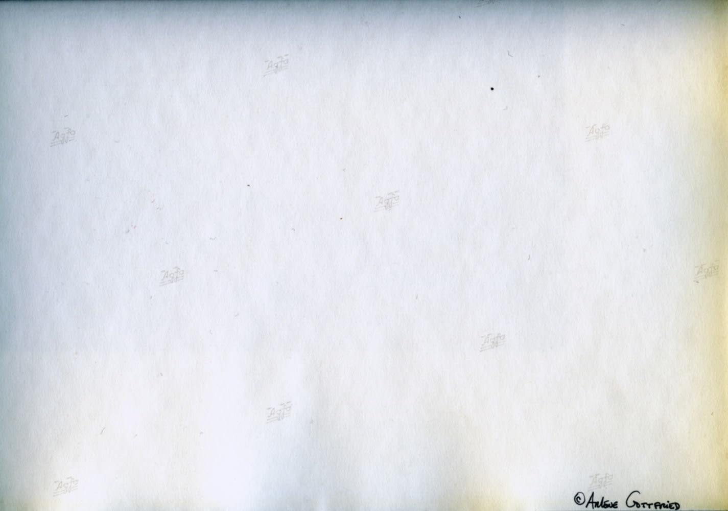 Arlene Gottfried, Untitled, n.d.