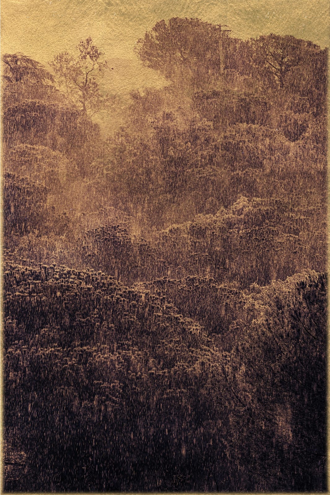 Albarran Cabrera, The Mouth of Krishna #1040, 2023