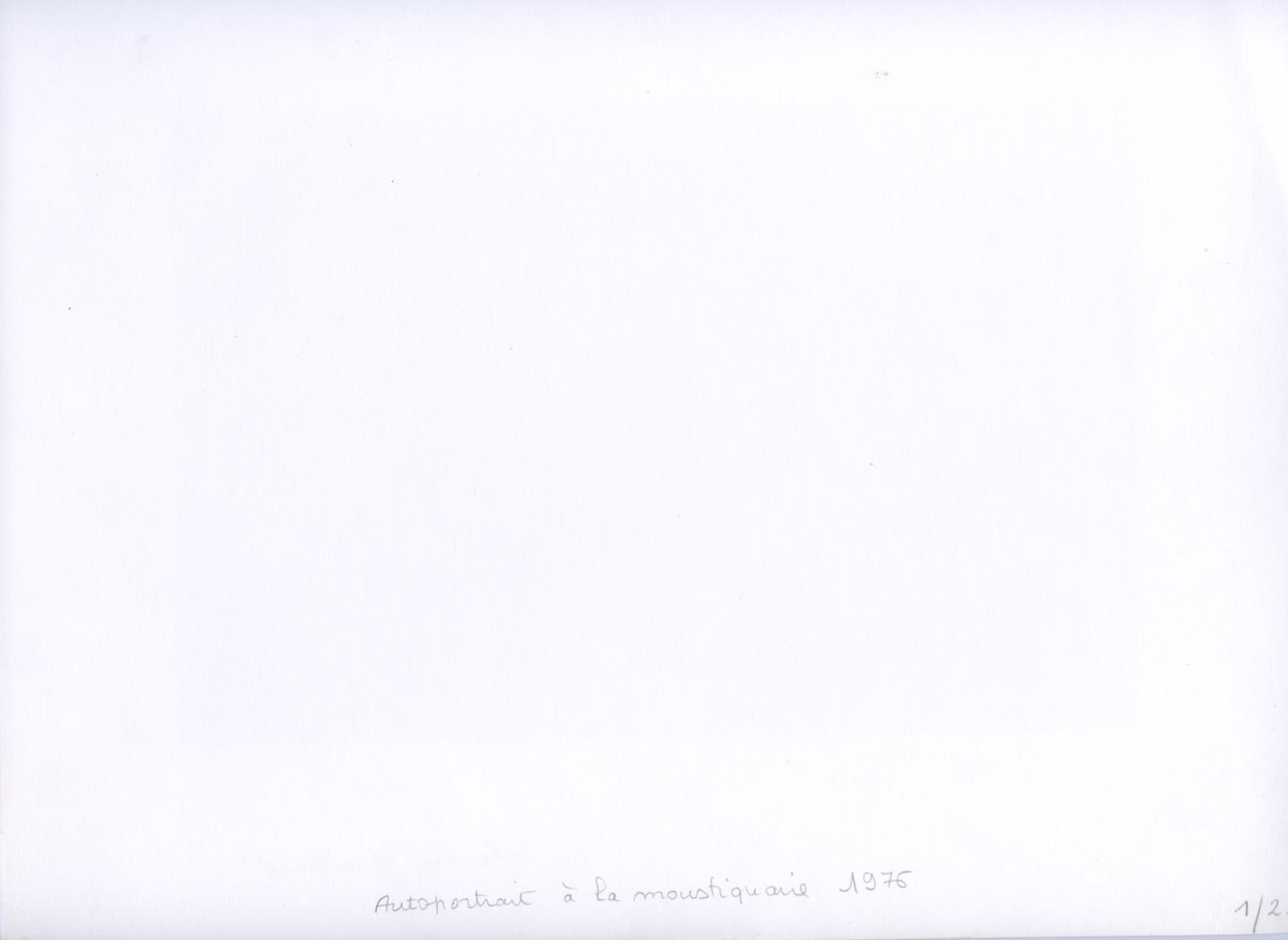 Hervé Guibert, Autoportrait à la moustiquaire, 1976