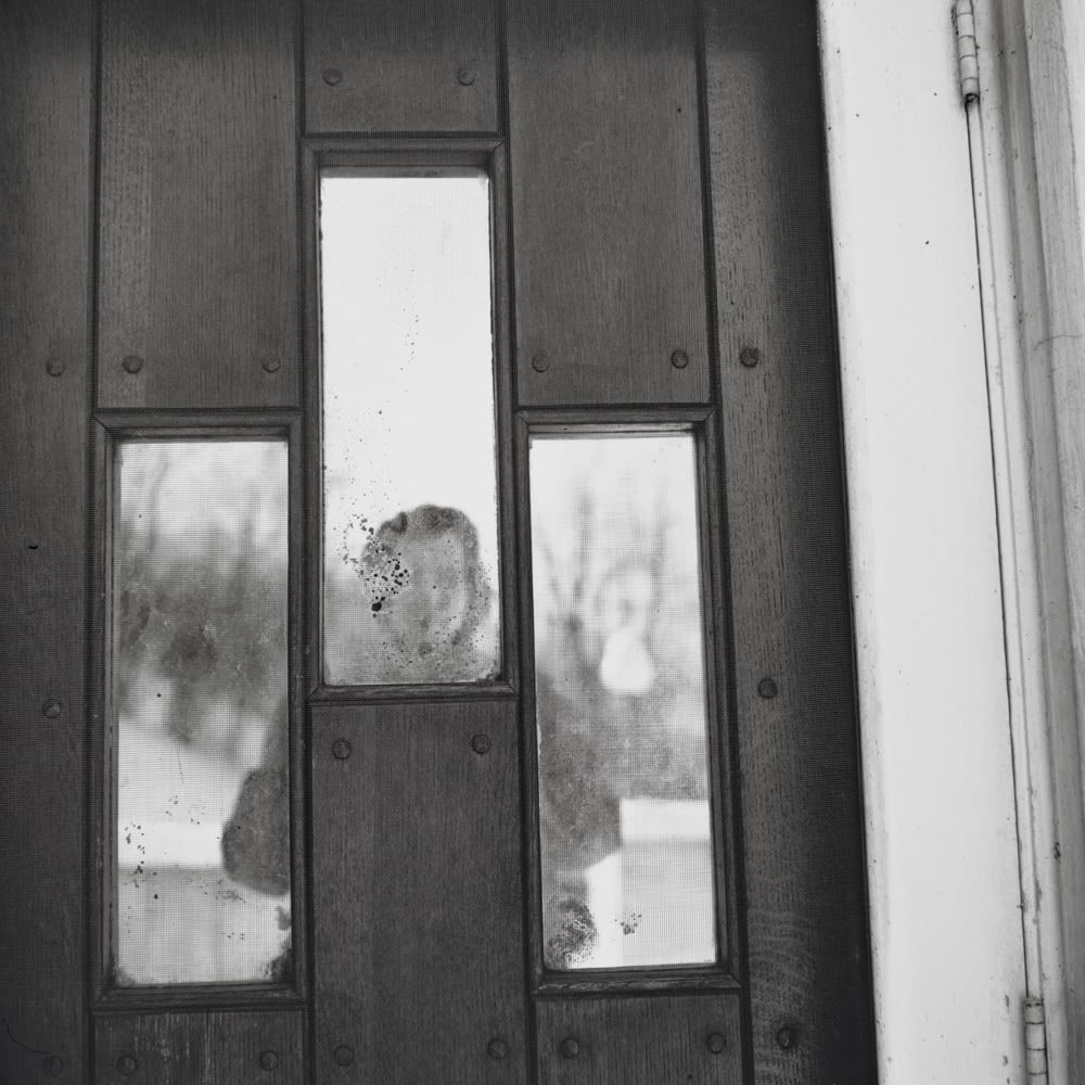 Vivian Maier, Self Portrait, Chicago area, 1963