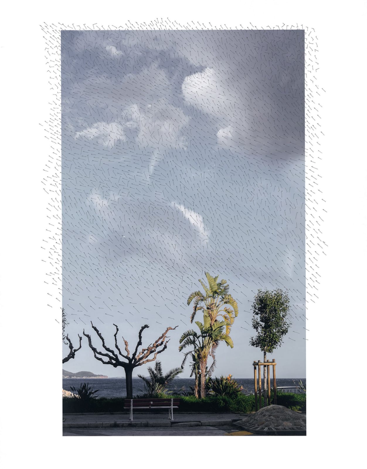 Jacqueline Salmon, Mourillon, Toulon, 2015