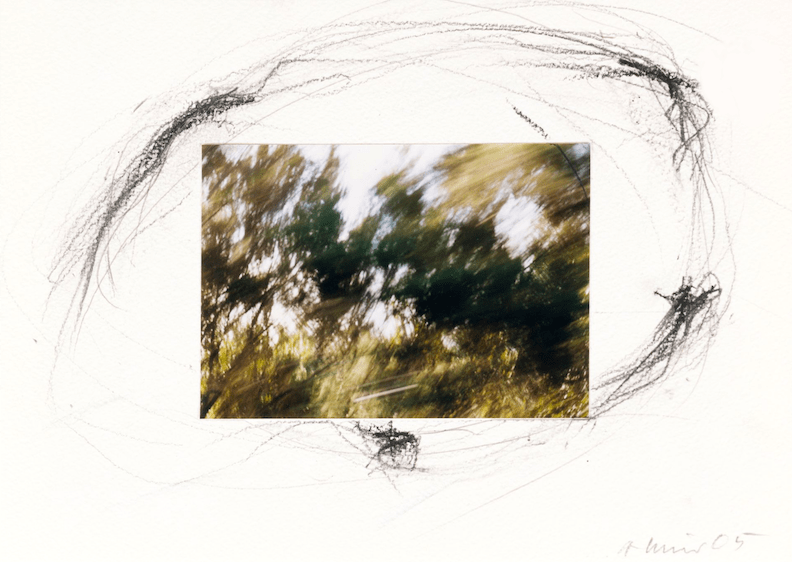 Arnulf Rainer, Fehlfotografie #6, 2005