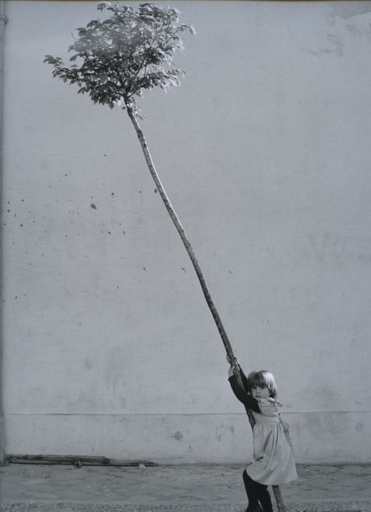 Sabine Weiss, Petite fille, petit arbre, Espagne, 1981