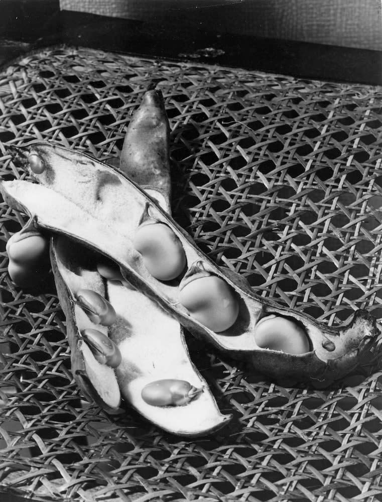 René-Jacques, Fèves, 1935-37