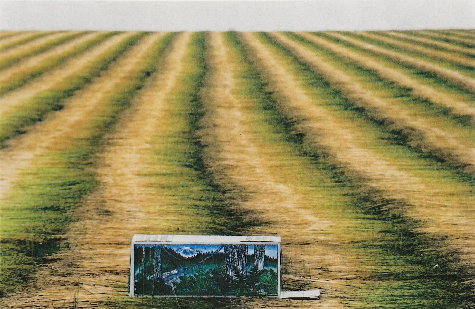 Paul Pouvreau, Mise au point, 2000